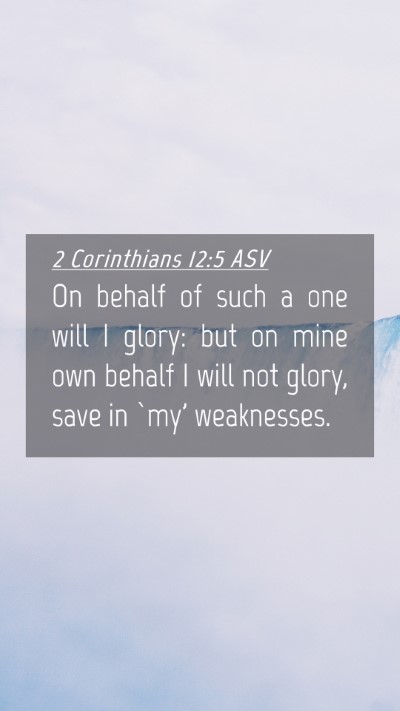 Picture 04 - 2 Corinthians 12:5 ASV Mobile Phone Wallpaper - On behalf of such a one will I glory: but on mine - Mobile Bible Verse Wallpaper