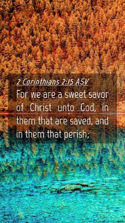 Picture 04 - 2 Corinthians 2:15 ASV Mobile Phone Wallpaper - For we are a sweet savor of Christ unto God, in - Mobile Bible Verse Wallpaper