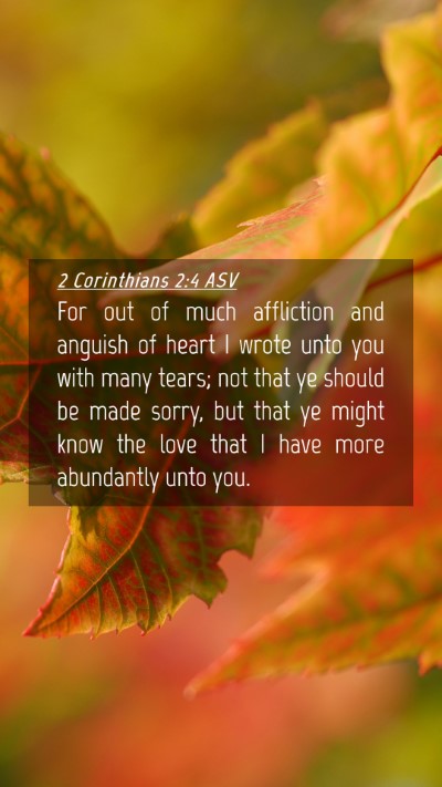 Picture 04 - 2 Corinthians 2:4 ASV Mobile Phone Wallpaper - For out of much affliction and anguish of heart I - Mobile Bible Verse Wallpaper