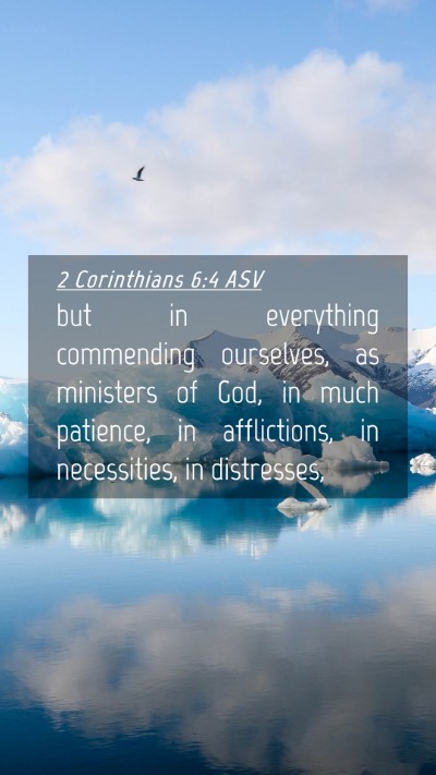 Picture 04 - 2 Corinthians 6:4 ASV Mobile Phone Wallpaper - but in everything commending ourselves, as - Mobile Bible Verse Wallpaper