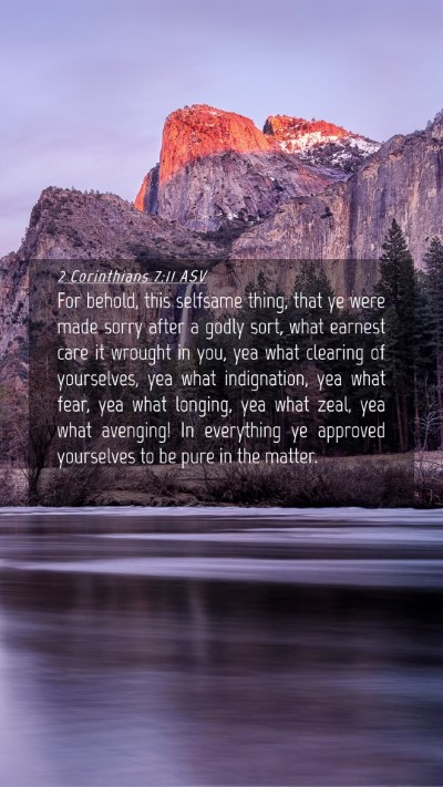 Picture 04 - 2 Corinthians 7:11 ASV Mobile Phone Wallpaper - For behold, this selfsame thing, that ye were - Mobile Bible Verse Wallpaper