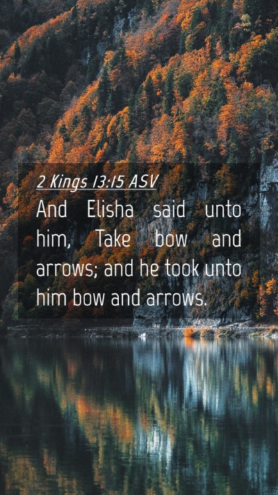 Picture 04 - 2 Kings 13:15 ASV Mobile Phone Wallpaper - And Elisha said unto him, Take bow and arrows; - Mobile Bible Verse Wallpaper