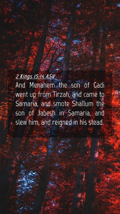 Picture 04 - 2 Kings 15:14 ASV Mobile Phone Wallpaper - And Menahem the son of Gadi went up from Tirzah, - Mobile Bible Verse Wallpaper