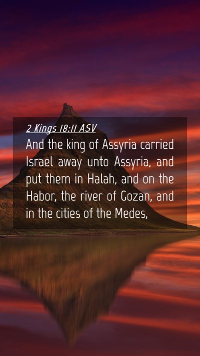 Picture 04 - 2 Kings 18:11 ASV Mobile Phone Wallpaper - And the king of Assyria carried Israel away unto - Mobile Bible Verse Wallpaper