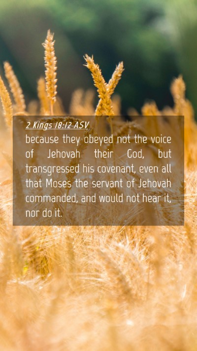 Picture 04 - 2 Kings 18:12 ASV Mobile Phone Wallpaper - because they obeyed not the voice of Jehovah - Mobile Bible Verse Wallpaper