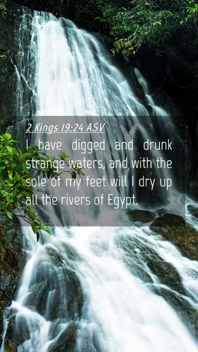 Picture 04 - 2 Kings 19:24 ASV Mobile Phone Wallpaper - I have digged and drunk strange waters, and with - Mobile Bible Verse Wallpaper