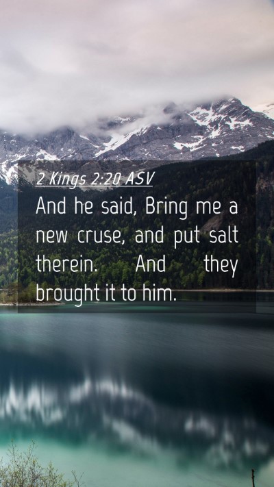 Picture 04 - 2 Kings 2:20 ASV Mobile Phone Wallpaper - And he said, Bring me a new cruse, and put salt - Mobile Bible Verse Wallpaper