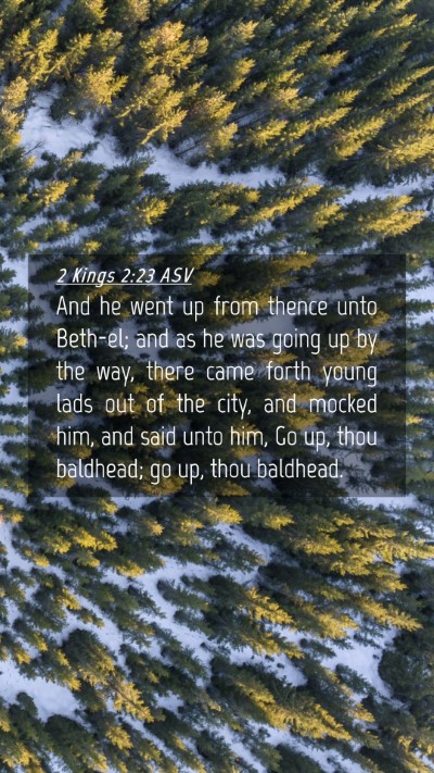 Picture 04 - 2 Kings 2:23 ASV Mobile Phone Wallpaper - And he went up from thence unto Beth-el; and as - Mobile Bible Verse Wallpaper