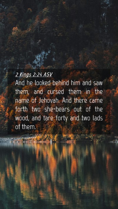 Picture 04 - 2 Kings 2:24 ASV Mobile Phone Wallpaper - And he looked behind him and saw them, and cursed - Mobile Bible Verse Wallpaper