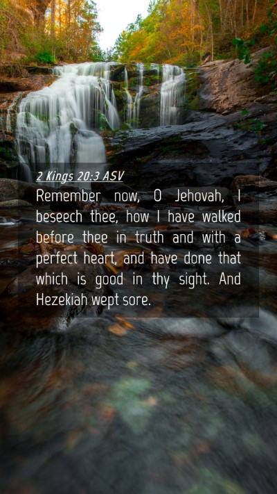 Picture 04 - 2 Kings 20:3 ASV Mobile Phone Wallpaper - Remember now, O Jehovah, I beseech thee, how I - Mobile Bible Verse Wallpaper
