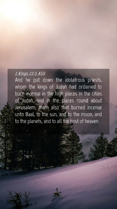 Picture 04 - 2 Kings 23:5 ASV Mobile Phone Wallpaper - And he put down the idolatrous priests, whom the - Mobile Bible Verse Wallpaper