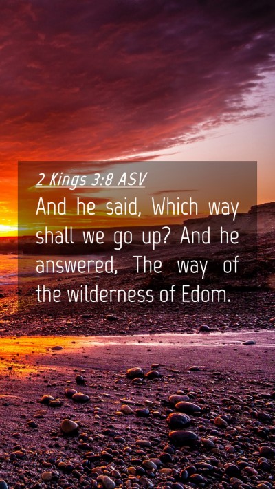 Picture 04 - 2 Kings 3:8 ASV Mobile Phone Wallpaper - And he said, Which way shall we go up? And he - Mobile Bible Verse Wallpaper