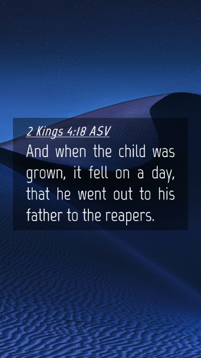Picture 04 - 2 Kings 4:18 ASV Mobile Phone Wallpaper - And when the child was grown, it fell on a day, - Mobile Bible Verse Wallpaper