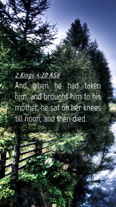 Picture 04 - 2 Kings 4:20 ASV Mobile Phone Wallpaper - And when he had taken him, and brought him to his - Mobile Bible Verse Wallpaper