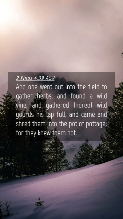 Picture 04 - 2 Kings 4:39 ASV Mobile Phone Wallpaper - And one went out into the field to gather herbs, - Mobile Bible Verse Wallpaper