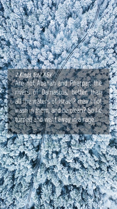 Picture 04 - 2 Kings 5:12 ASV Mobile Phone Wallpaper - Are not Abanah and Pharpar, the rivers of - Mobile Bible Verse Wallpaper