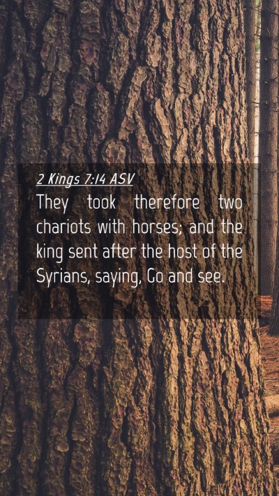 Picture 04 - 2 Kings 7:14 ASV Mobile Phone Wallpaper - They took therefore two chariots with horses; and - Mobile Bible Verse Wallpaper