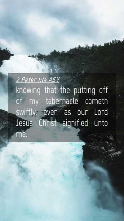Picture 04 - 2 Peter 1:14 ASV Mobile Phone Wallpaper - knowing that the putting off of my tabernacle - Mobile Bible Verse Wallpaper