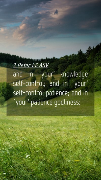 Picture 04 - 2 Peter 1:6 ASV Mobile Phone Wallpaper - and in `your' knowledge self-control; and in - Mobile Bible Verse Wallpaper