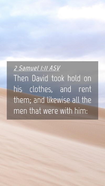 Picture 04 - 2 Samuel 1:11 ASV Mobile Phone Wallpaper - Then David took hold on his clothes, and rent - Mobile Bible Verse Wallpaper