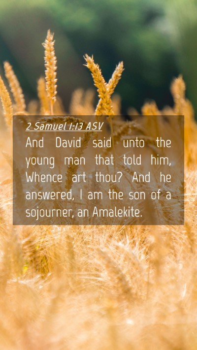 Picture 04 - 2 Samuel 1:13 ASV Mobile Phone Wallpaper - And David said unto the young man that told him, - Mobile Bible Verse Wallpaper