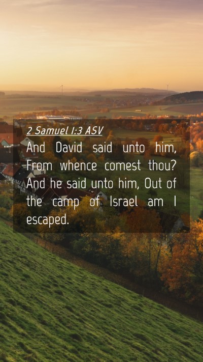 Picture 04 - 2 Samuel 1:3 ASV Mobile Phone Wallpaper - And David said unto him, From whence comest thou? - Mobile Bible Verse Wallpaper