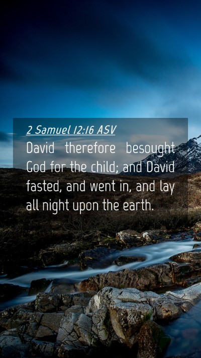 Picture 04 - 2 Samuel 12:16 ASV Mobile Phone Wallpaper - David therefore besought God for the child; and - Mobile Bible Verse Wallpaper