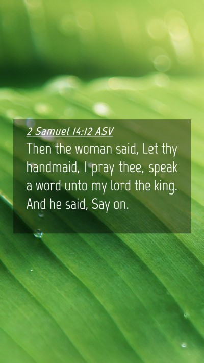 Picture 04 - 2 Samuel 14:12 ASV Mobile Phone Wallpaper - Then the woman said, Let thy handmaid, I pray - Mobile Bible Verse Wallpaper