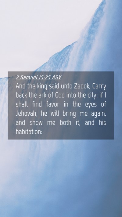 Picture 04 - 2 Samuel 15:25 ASV Mobile Phone Wallpaper - And the king said unto Zadok, Carry back the ark - Mobile Bible Verse Wallpaper