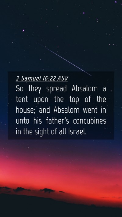 Picture 04 - 2 Samuel 16:22 ASV Mobile Phone Wallpaper - So they spread Absalom a tent upon the top of the - Mobile Bible Verse Wallpaper
