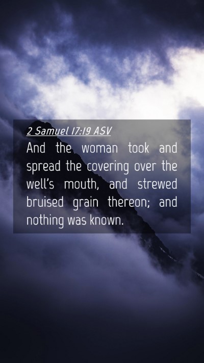 Picture 04 - 2 Samuel 17:19 ASV Mobile Phone Wallpaper - And the woman took and spread the covering over - Mobile Bible Verse Wallpaper