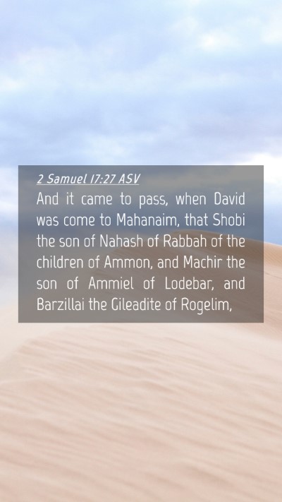 Picture 04 - 2 Samuel 17:27 ASV Mobile Phone Wallpaper - And it came to pass, when David was come to - Mobile Bible Verse Wallpaper