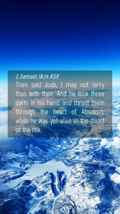 Picture 04 - 2 Samuel 18:14 ASV Mobile Phone Wallpaper - Then said Joab, I may not tarry thus with thee. - Mobile Bible Verse Wallpaper
