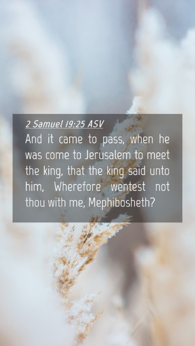 Picture 04 - 2 Samuel 19:25 ASV Mobile Phone Wallpaper - And it came to pass, when he was come to - Mobile Bible Verse Wallpaper
