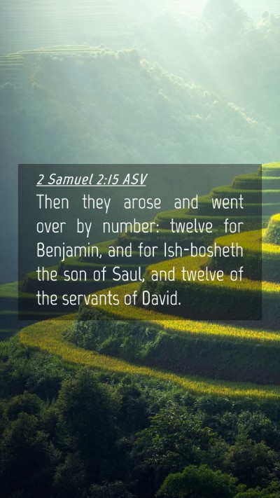 Picture 04 - 2 Samuel 2:15 ASV Mobile Phone Wallpaper - Then they arose and went over by number: twelve - Mobile Bible Verse Wallpaper