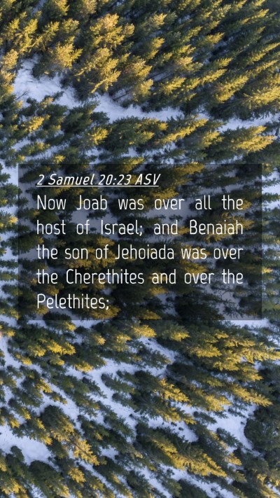 Picture 04 - 2 Samuel 20:23 ASV Mobile Phone Wallpaper - Now Joab was over all the host of Israel; and - Mobile Bible Verse Wallpaper