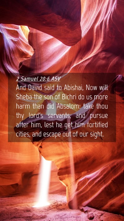 Picture 04 - 2 Samuel 20:6 ASV Mobile Phone Wallpaper - And David said to Abishai, Now will Sheba the son - Mobile Bible Verse Wallpaper