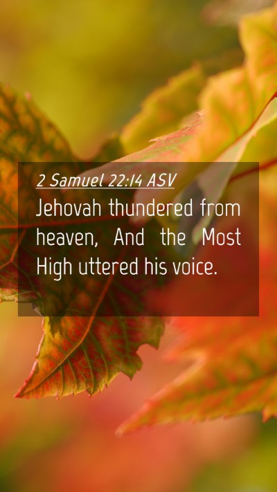 Picture 04 - 2 Samuel 22:14 ASV Mobile Phone Wallpaper - Jehovah thundered from heaven, And the Most High - Mobile Bible Verse Wallpaper