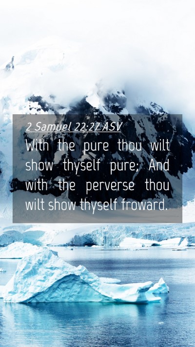 Picture 04 - 2 Samuel 22:27 ASV Mobile Phone Wallpaper - With the pure thou wilt show thyself pure; And - Mobile Bible Verse Wallpaper