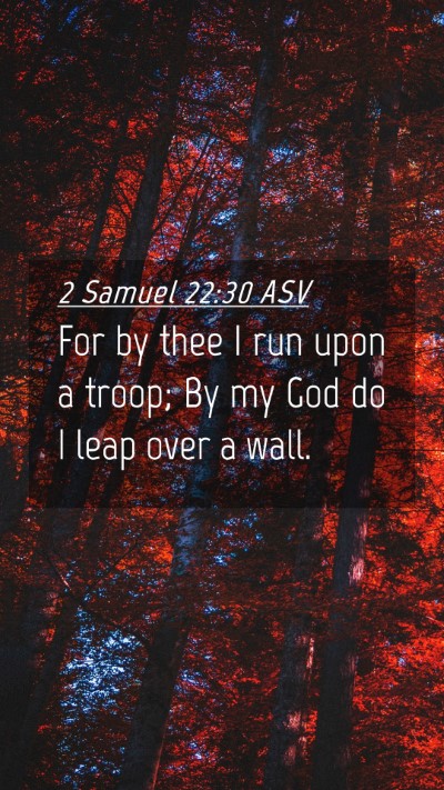 Picture 04 - 2 Samuel 22:30 ASV Mobile Phone Wallpaper - For by thee I run upon a troop; By my God do I - Mobile Bible Verse Wallpaper