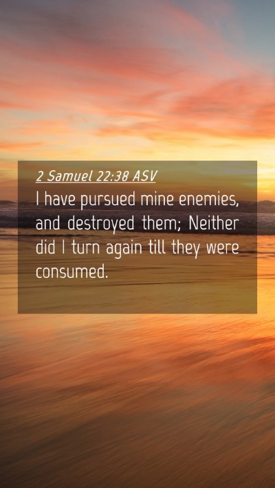 Picture 04 - 2 Samuel 22:38 ASV Mobile Phone Wallpaper - I have pursued mine enemies, and destroyed them; - Mobile Bible Verse Wallpaper