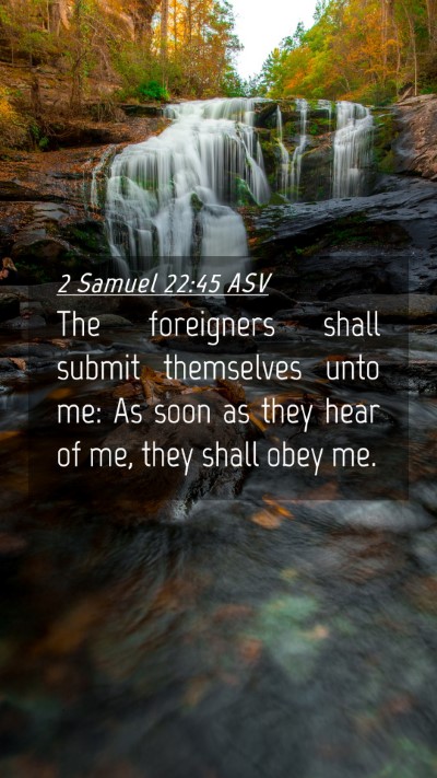 Picture 04 - 2 Samuel 22:45 ASV Mobile Phone Wallpaper - The foreigners shall submit themselves unto me: - Mobile Bible Verse Wallpaper