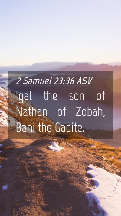 Picture 04 - 2 Samuel 23:36 ASV Mobile Phone Wallpaper - Igal the son of Nathan of Zobah, Bani the - Mobile Bible Verse Wallpaper