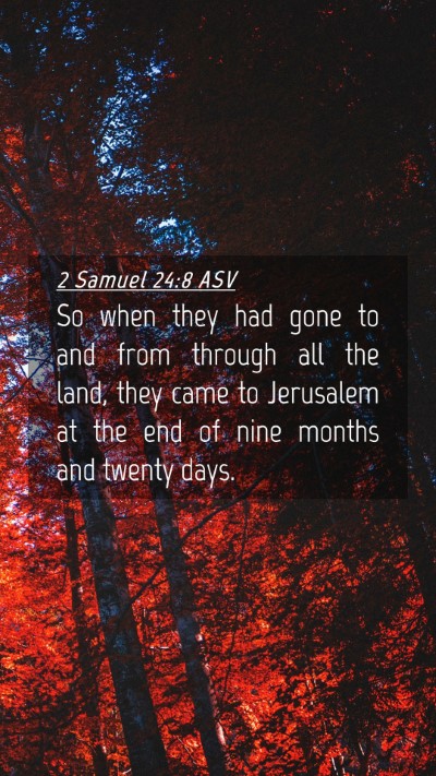 Picture 04 - 2 Samuel 24:8 ASV Mobile Phone Wallpaper - So when they had gone to and from through all the - Mobile Bible Verse Wallpaper
