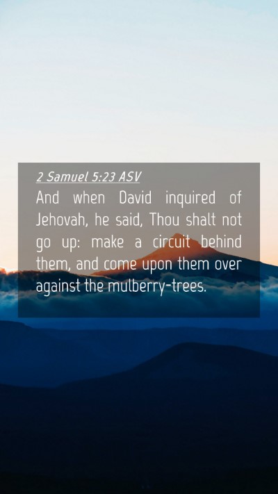Picture 04 - 2 Samuel 5:23 ASV Mobile Phone Wallpaper - And when David inquired of Jehovah, he said, Thou - Mobile Bible Verse Wallpaper