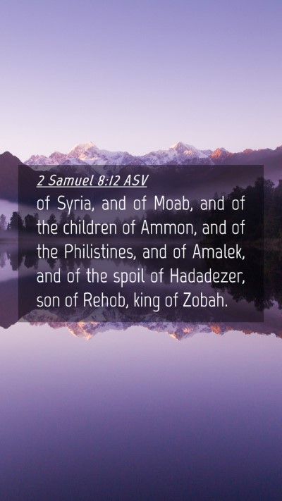 Picture 04 - 2 Samuel 8:12 ASV Mobile Phone Wallpaper - of Syria, and of Moab, and of the children of - Mobile Bible Verse Wallpaper