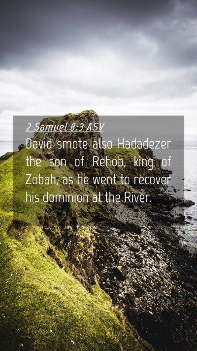 Picture 04 - 2 Samuel 8:3 ASV Mobile Phone Wallpaper - David smote also Hadadezer the son of Rehob, king - Mobile Bible Verse Wallpaper