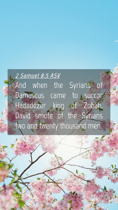 Picture 04 - 2 Samuel 8:5 ASV Mobile Phone Wallpaper - And when the Syrians of Damascus came to succor - Mobile Bible Verse Wallpaper