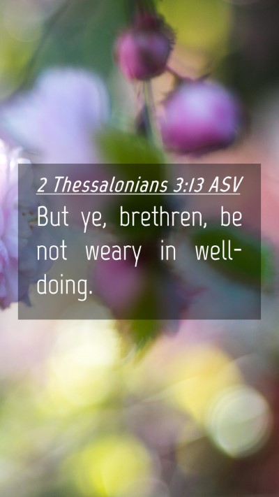 Picture 04 - 2 Thessalonians 3:13 ASV Mobile Phone Wallpaper - But ye, brethren, be not weary in - Mobile Bible Verse Wallpaper