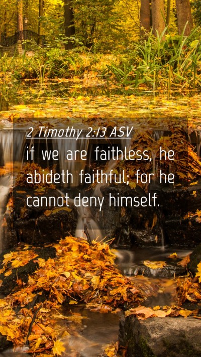 Picture 04 - 2 Timothy 2:13 ASV Mobile Phone Wallpaper - if we are faithless, he abideth faithful; for he - Mobile Bible Verse Wallpaper